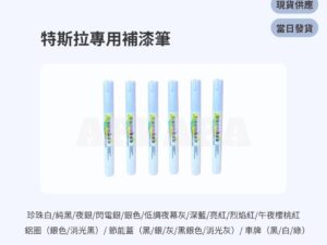 Model Y 煥新版 補漆筆